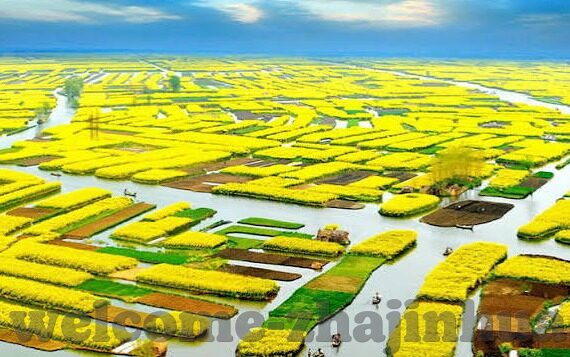 澳门赌场百家乐视频-澳门赌场百家乐视频,娱乐与风险并存