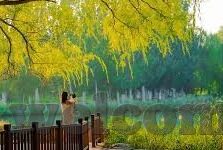 九游直播下载安装-掌握直播新风尚,九游直播的下载与安装全攻略