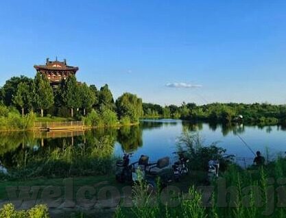 世界杯女主播侵犯-世界杯女主播侵权事件，聚焦网络素养与版权保护