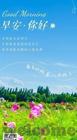 炸金花打喜什么意思-炸金花打喜,一场欢乐与策略交织的盛宴